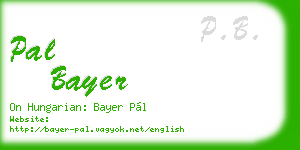 pal bayer business card