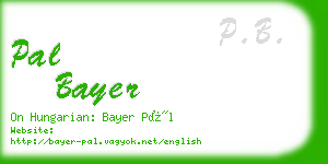 pal bayer business card